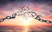 Chains breaking into flying birds with a sunset in the background