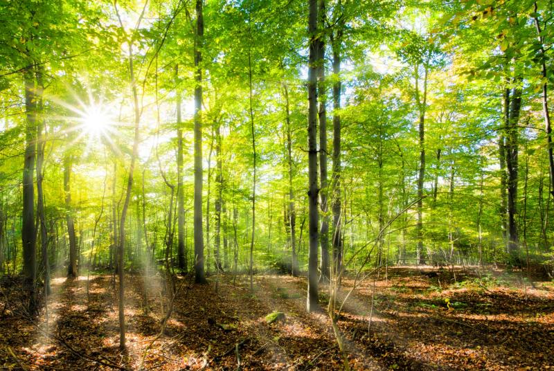 Lighting up the tunnel together